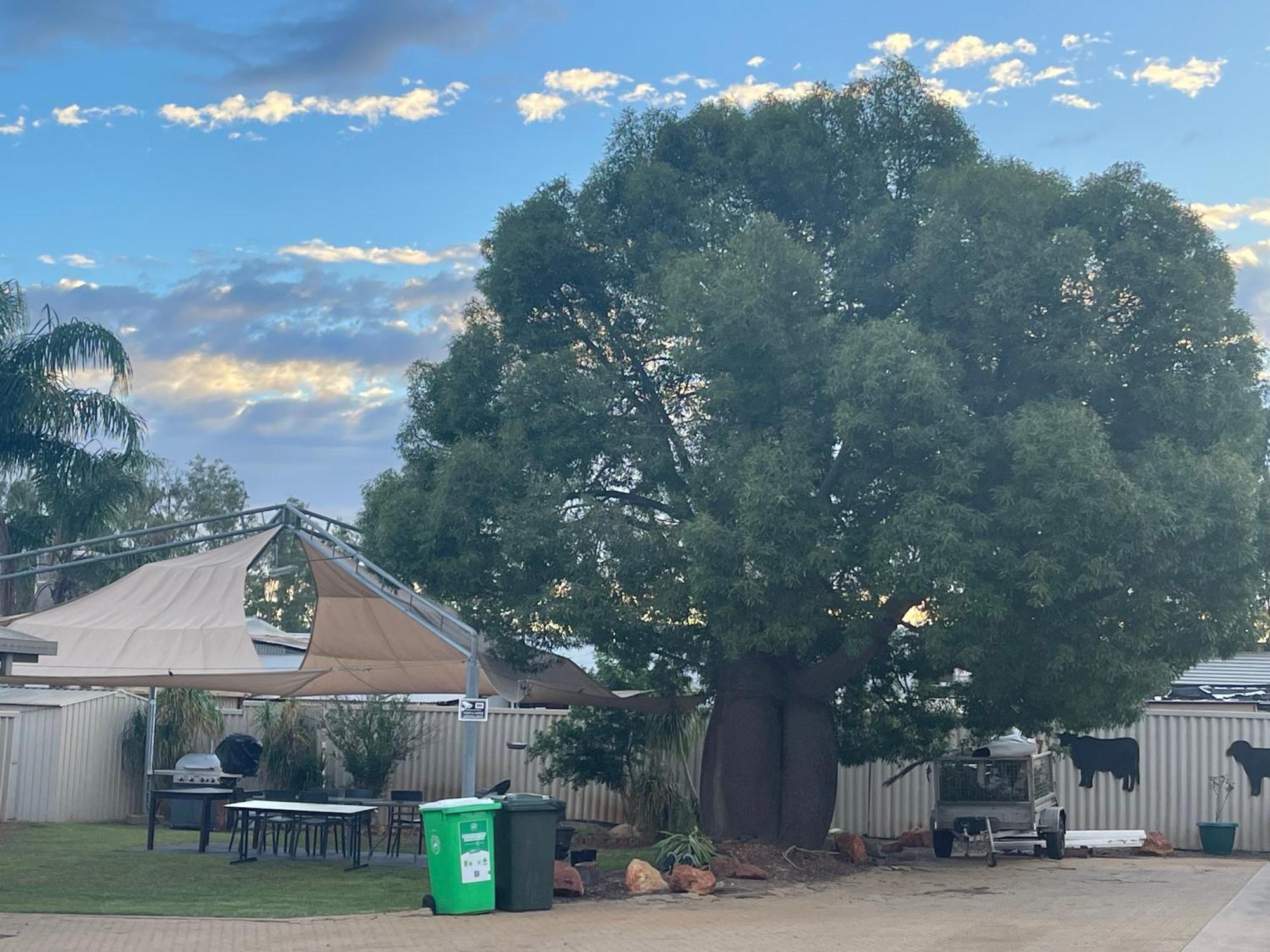 Warrego Motel Charleville Kültér fotó